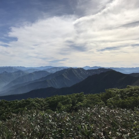 仙ノ倉山頂2