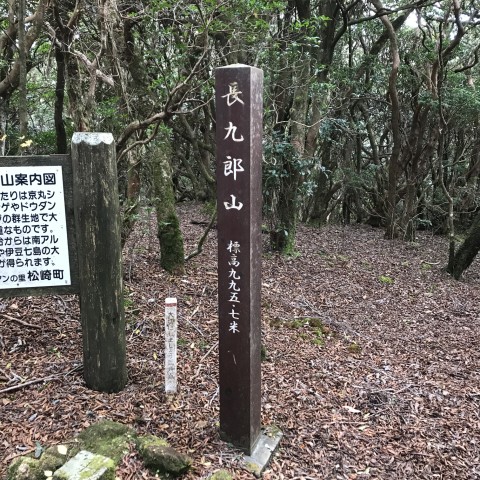 長九郎山　山頂