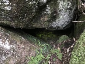 ヒカリゴケ観察ポイント